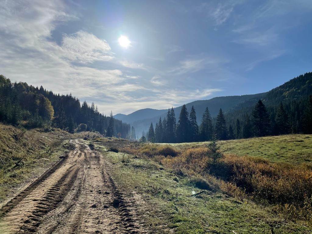 Посадовець Держгеокадастру на Прикарпатті під підозрою за незаконну передачу земель біля Буковелю 1