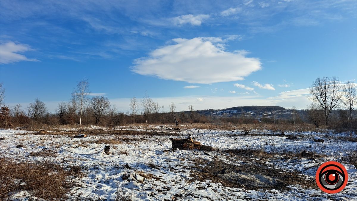 Активісти власноруч розчищають чагарники біля Воскресінецької кладки, щоб зробити проїзд до Грушева 5