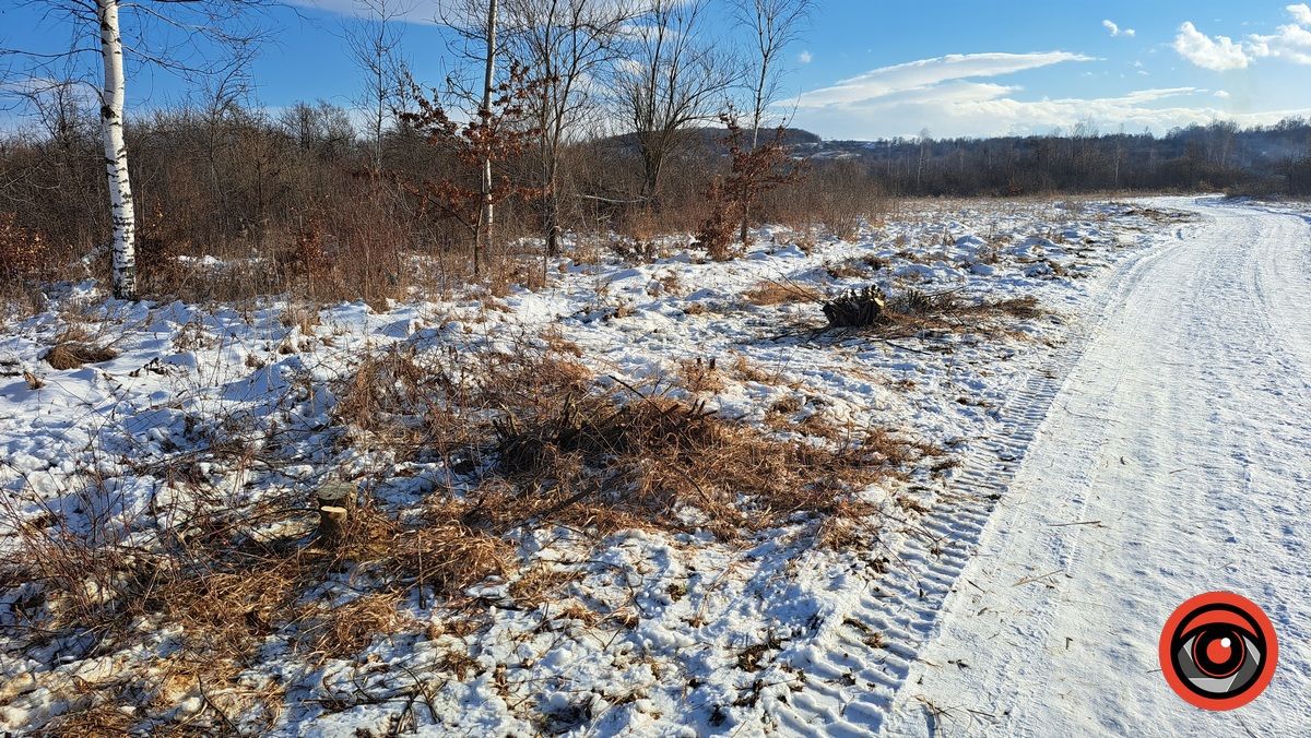 Активісти власноруч розчищають чагарники біля Воскресінецької кладки, щоб зробити проїзд до Грушева 6