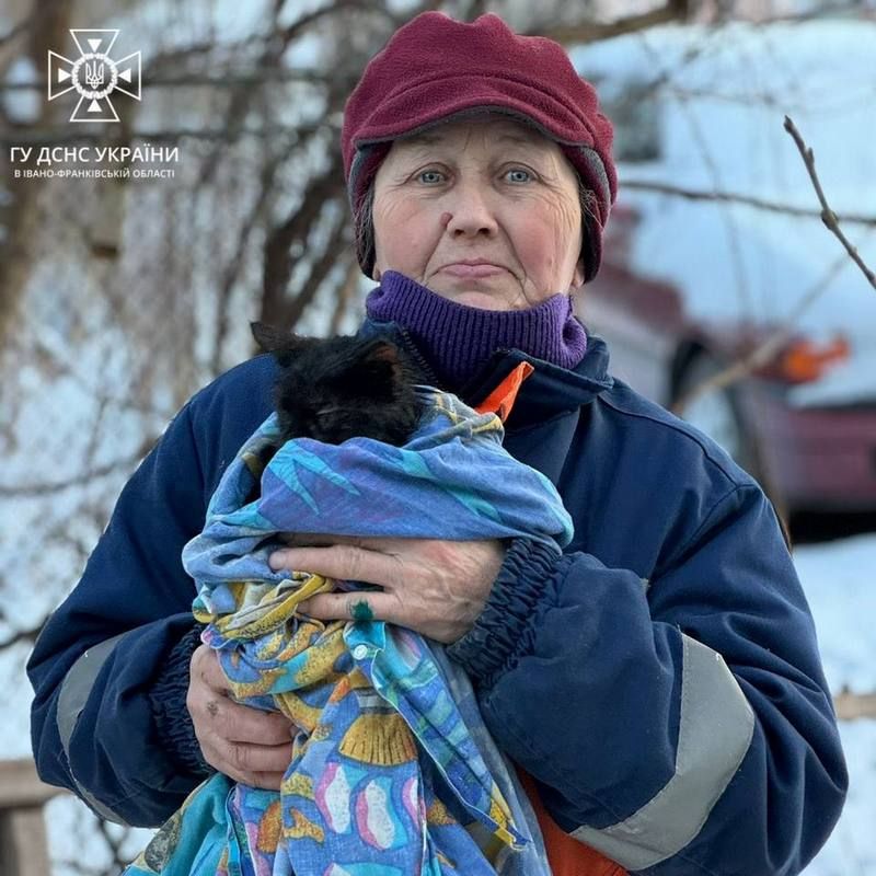 Кожне життя важливе: у Коломиї рятували кошеня 1