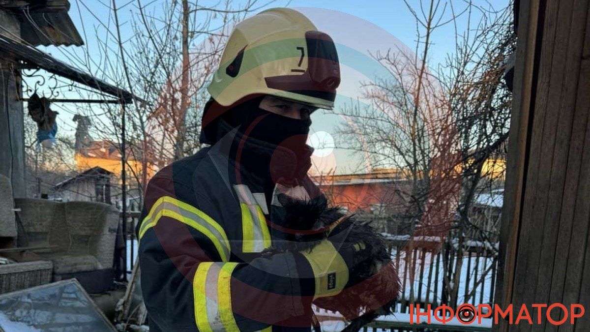 Кожне життя важливе: у Коломиї рятували кошеня 2