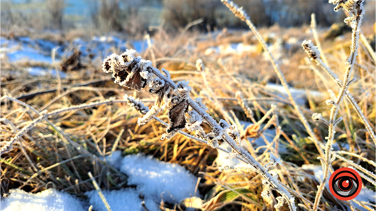 зимовий ранок