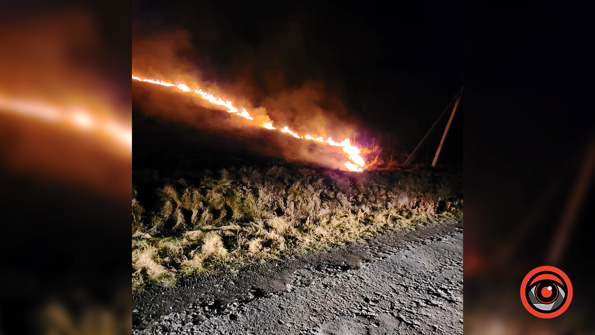 На Коломийщині вкотре горіла суха трава 1