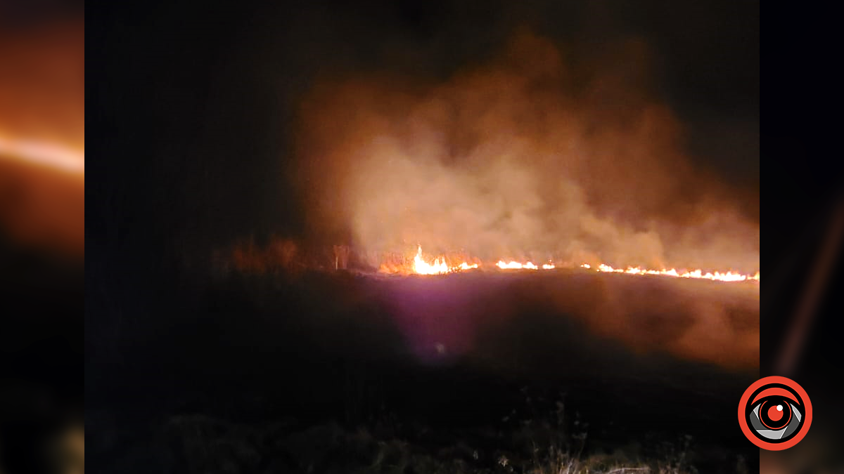 На Коломийщині вкотре горіла суха трава 2