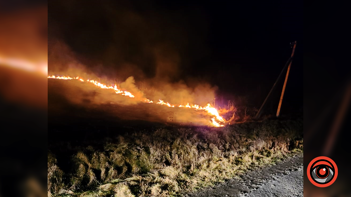 На Коломийщині вкотре горіла суха трава 3