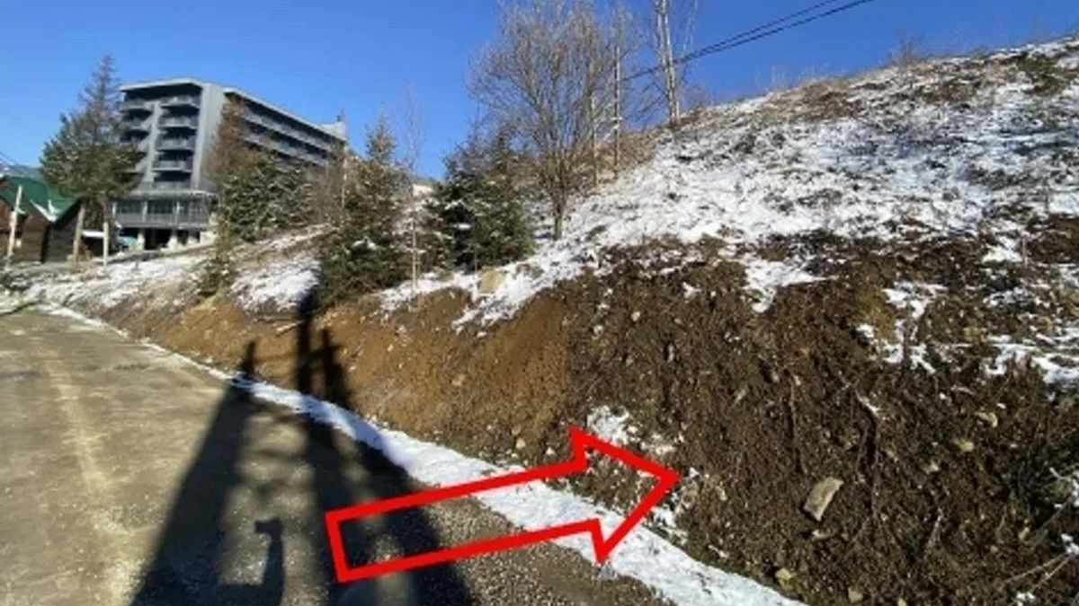 Три сотки за мільйон: біля Буковелю продавали з аукціону земельну ділянку 2