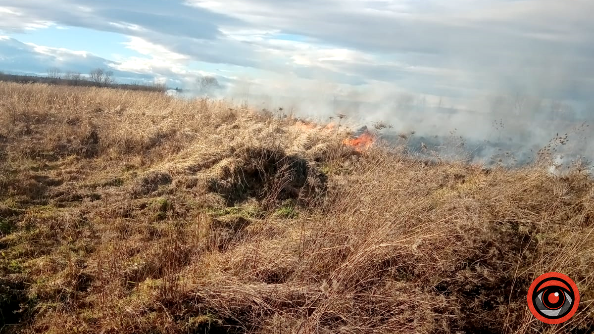 Дві пожежі сухої трави стались 3 січня на Коломийщині 1