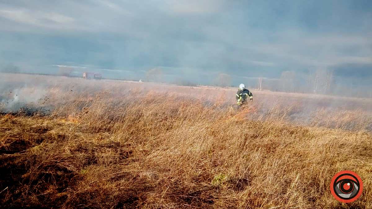 Дві пожежі сухої трави стались 3 січня на Коломийщині 2