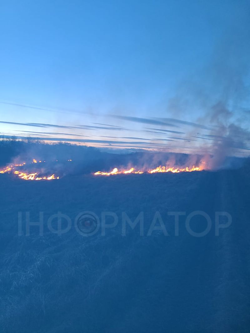 У селі Коломийської громади посеред зими горить трава 3