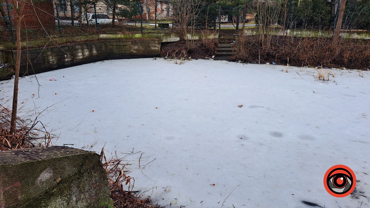 Тонка крига | Фоторепортаж з 4-х водоймищ Коломиї 6