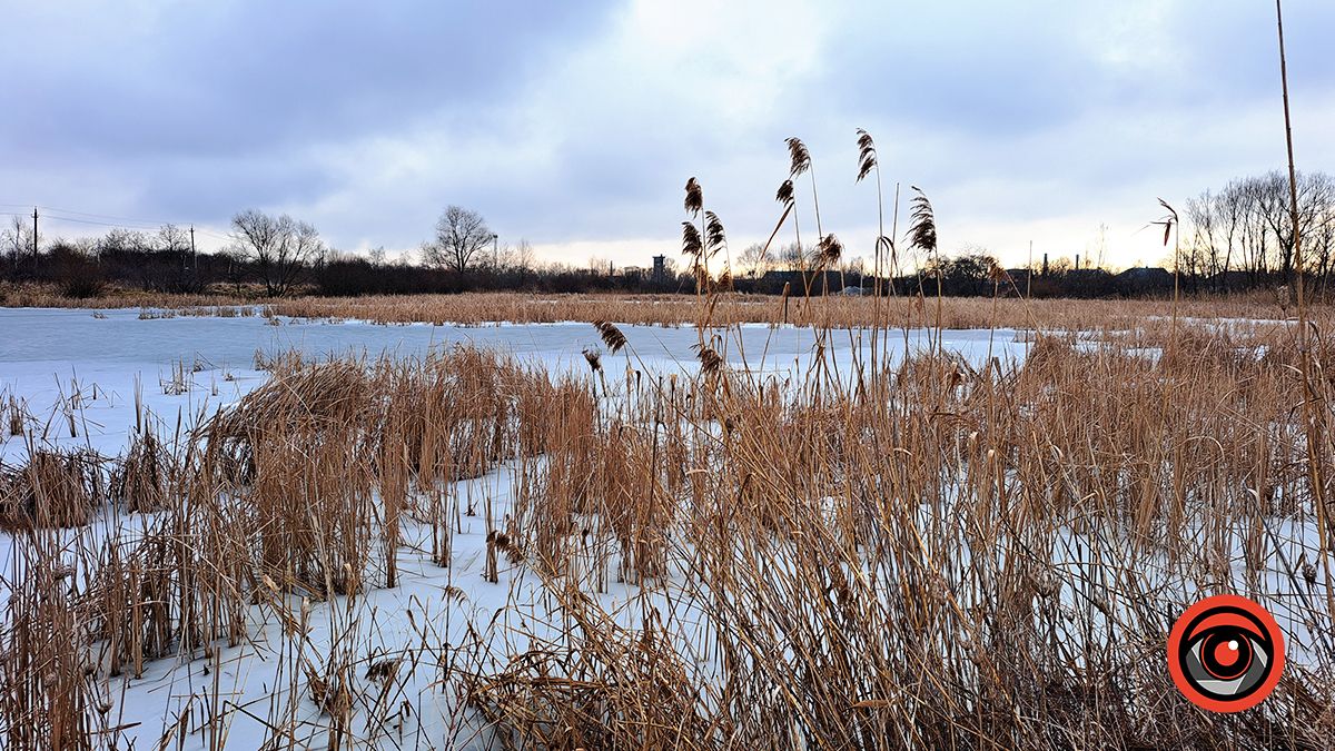 Тонка крига | Фоторепортаж з 4-х водоймищ Коломиї 9