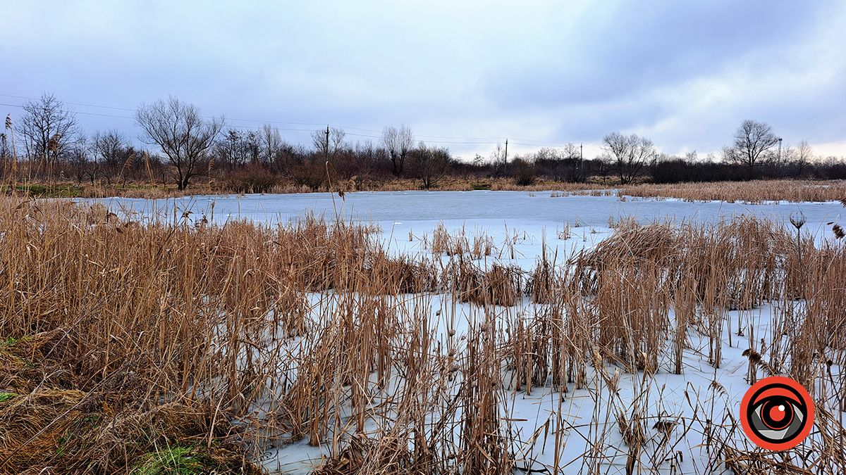 Тонка крига | Фоторепортаж з 4-х водоймищ Коломиї 8