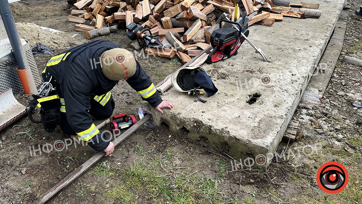 Застряг у плиті: у Коломиї рятувальники витягали кота 1