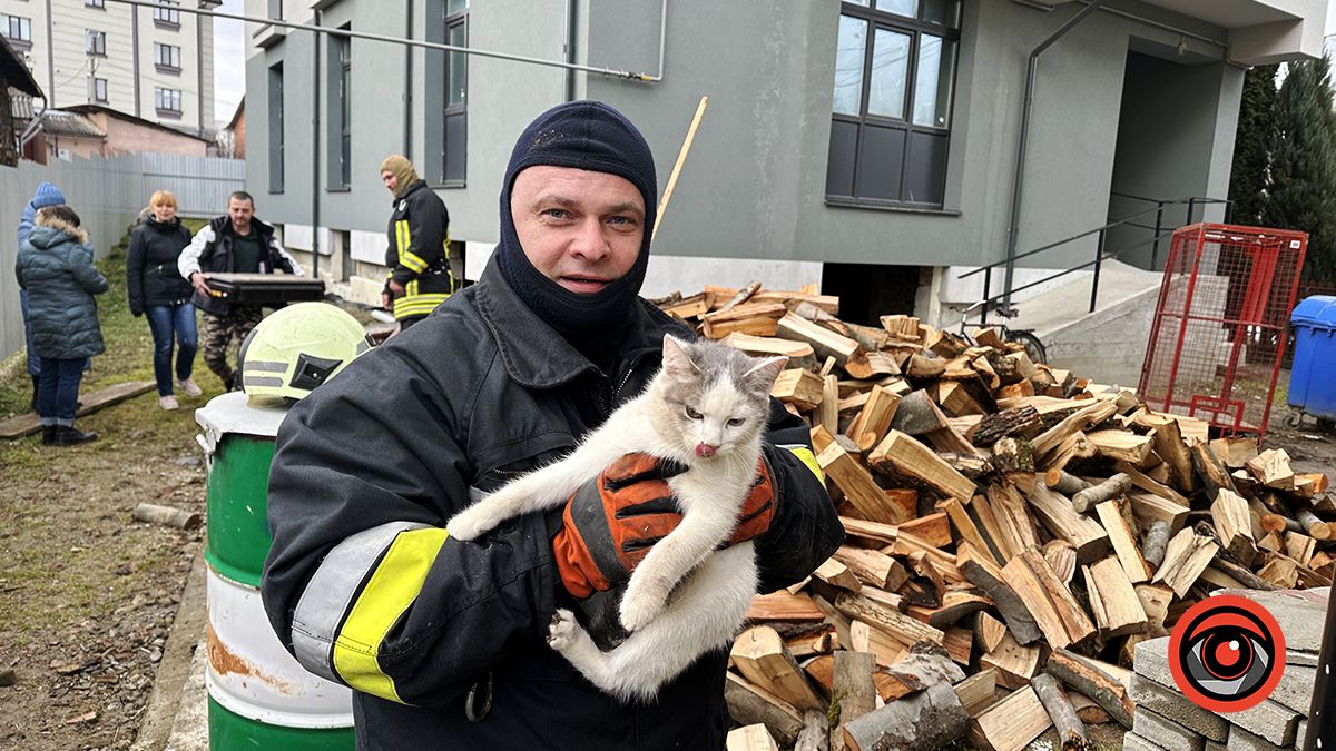 Застряг у плиті: у Коломиї рятувальники витягали кота