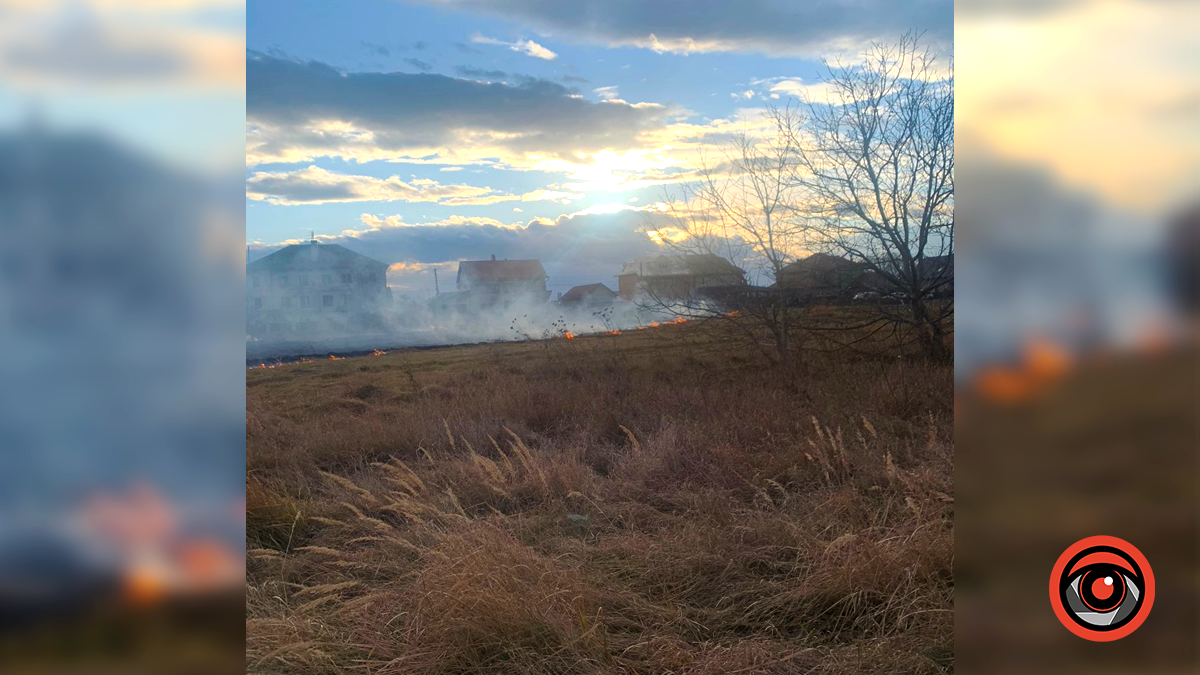 Суха трава зайнялася у Снятині 1