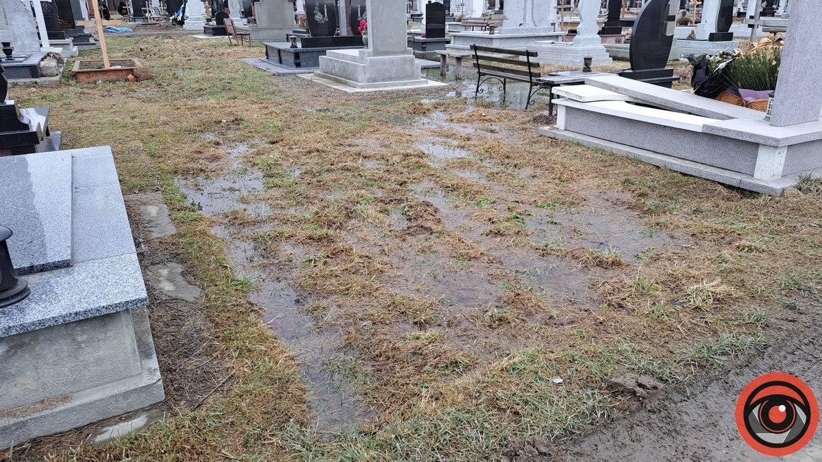 Багнюки по котики й затоплені могили: що кажуть у ратуші про ситуацію на кладовищі Коломиї 8