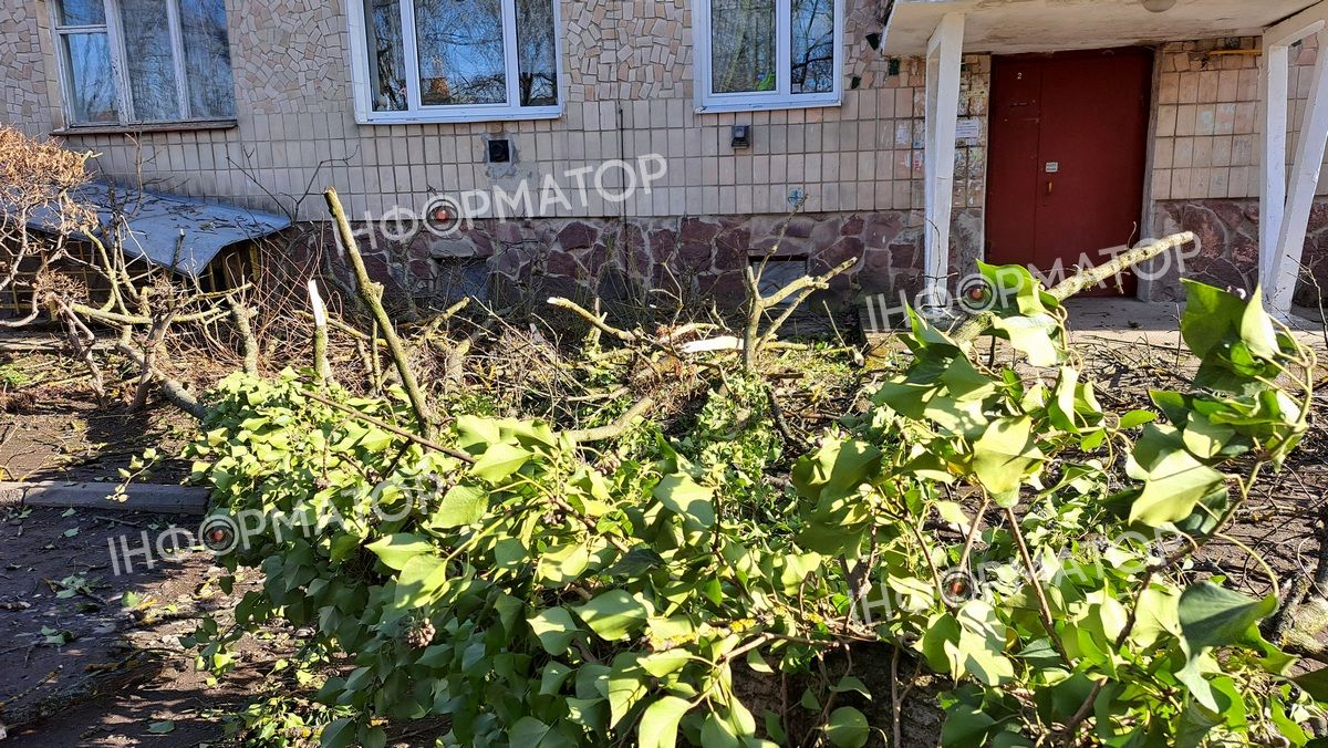 Втретє за три місяці: на подвір'я будинку в Коломиї знову повалило дерево 3