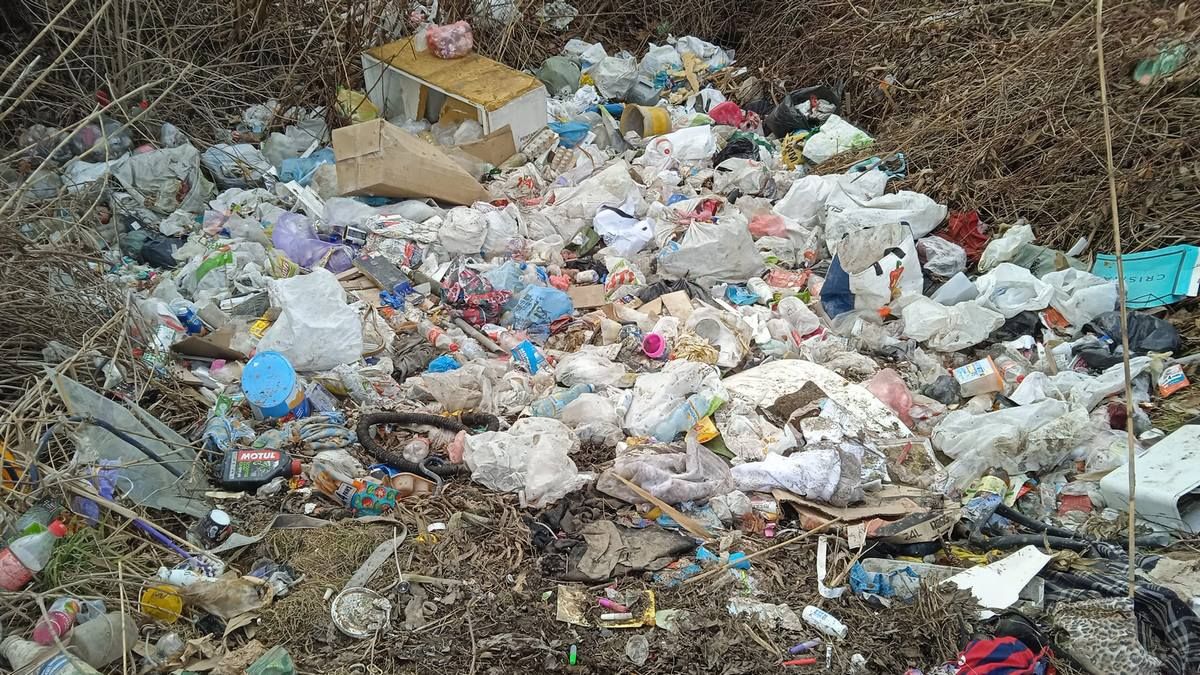 Стихійне звалище сміття біля озера обурило коломиян