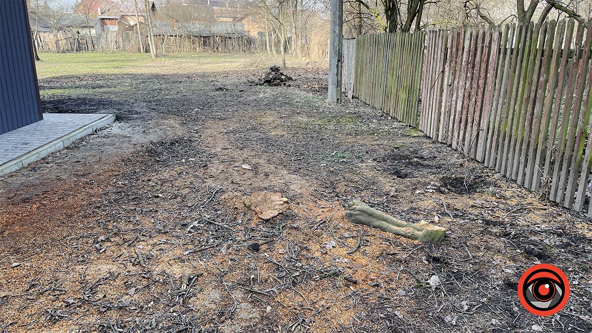 Зрізана алича