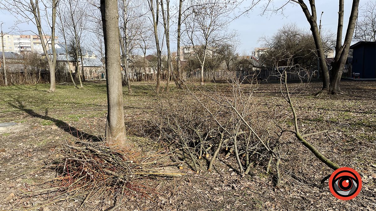 Зрізали, колодами прикрили, землею притрусили: що відбувається у міському парку Коломиї 16