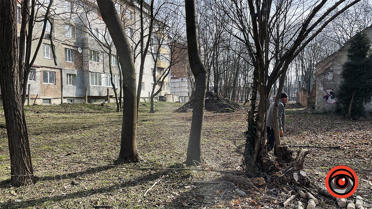 Зрізали, колодами прикрили, землею притрусили: що відбувається у міському парку Коломиї 17