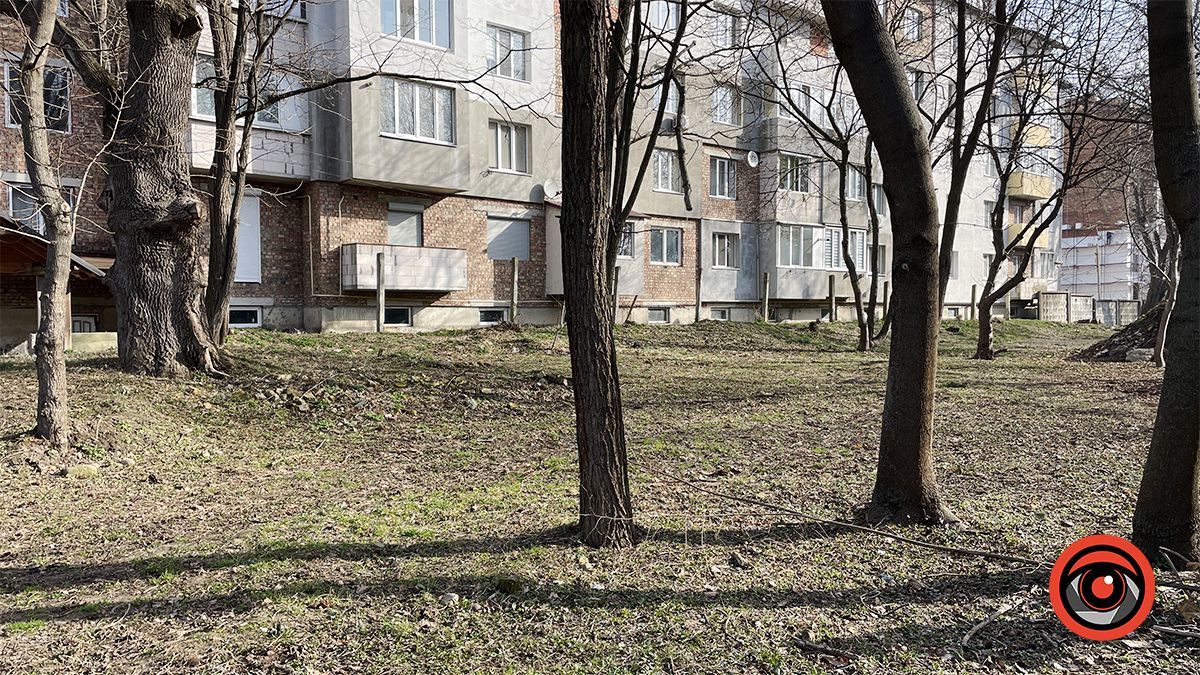 Зрізали, колодами прикрили, землею притрусили: що відбувається у міському парку Коломиї 18