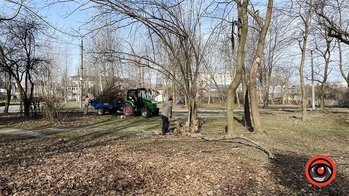 Зрізали, колодами прикрили, землею притрусили: що відбувається у міському парку Коломиї 20