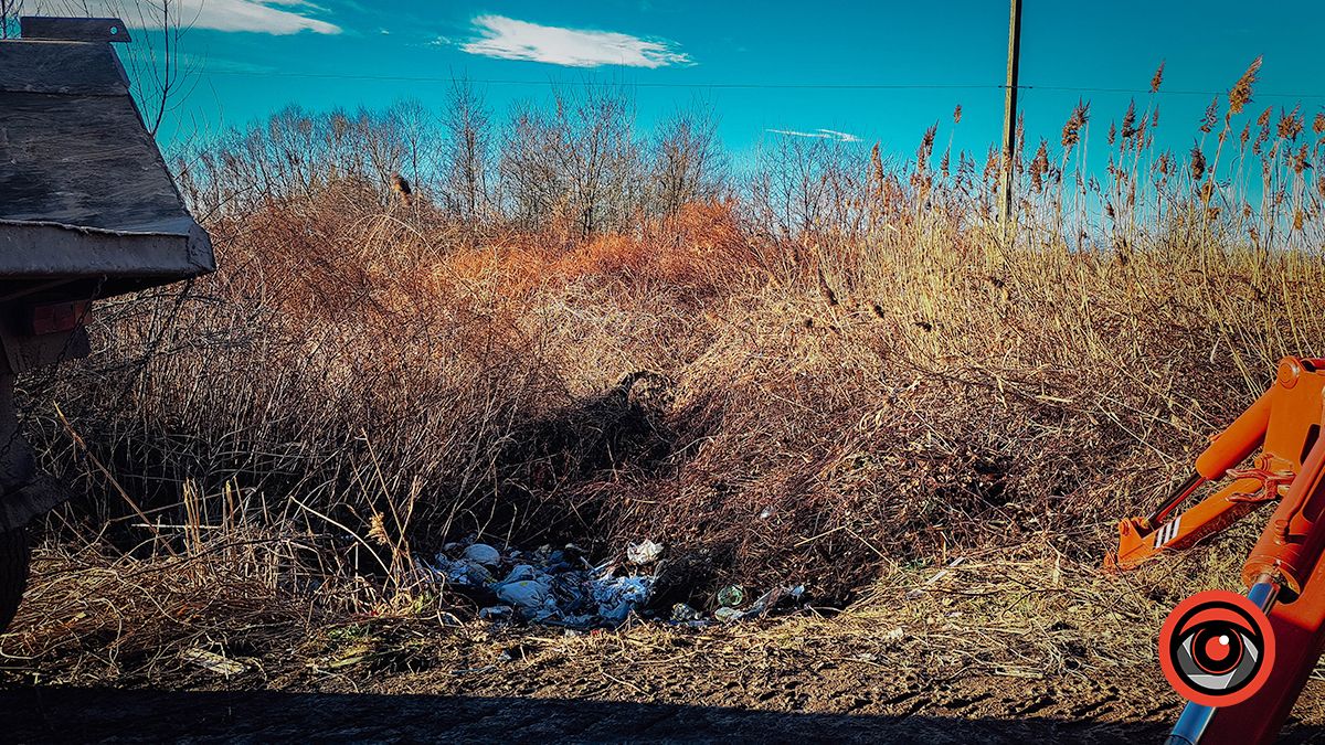 Комунальники прибирають купи сміття біля озер у Коломиї 3