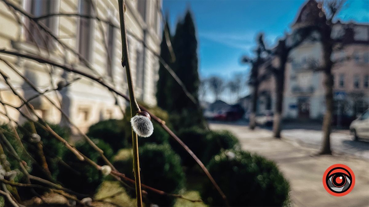 Лютнева Коломия 2024 | Фоторепортаж 6