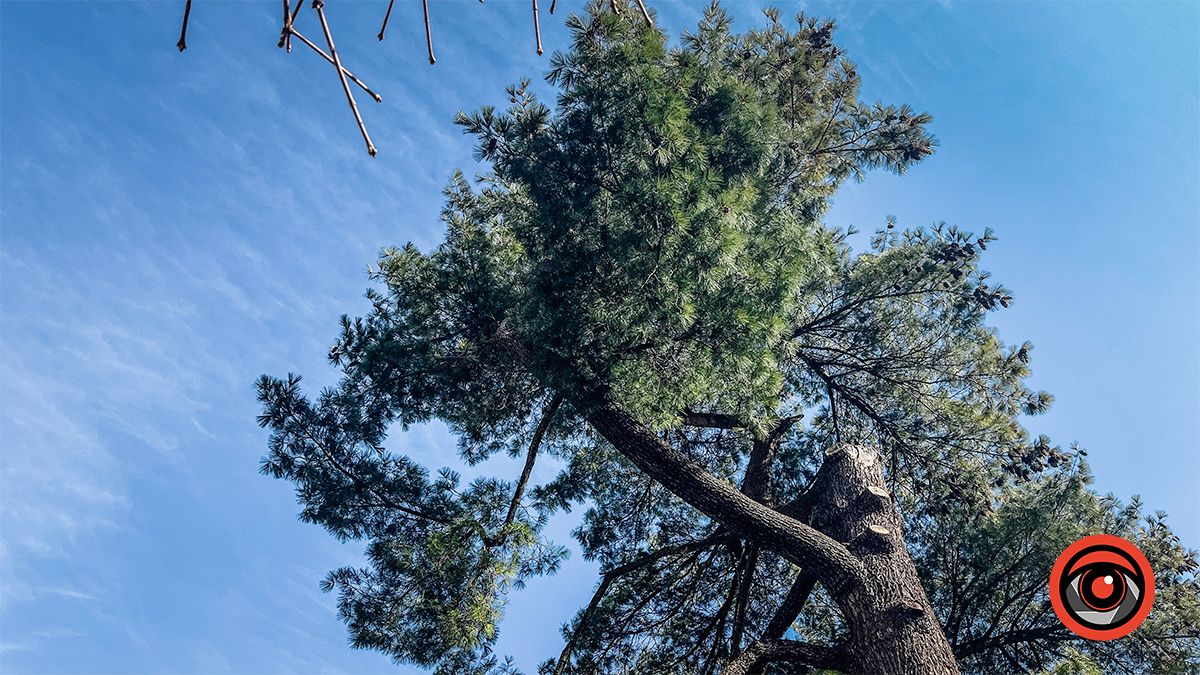 Лютнева Коломия 2024 | Фоторепортаж 4