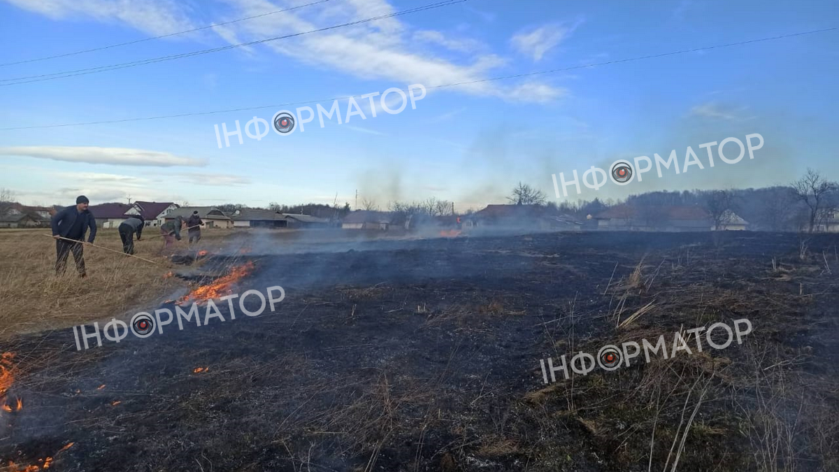 На Коломийщині вогонь охопив сотні метрів землі 1