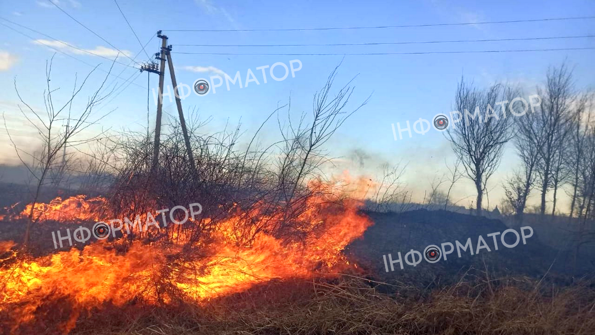 На Коломийщині вогонь охопив сотні метрів землі