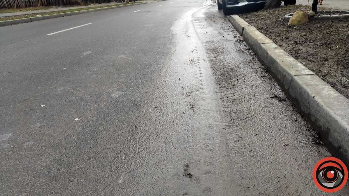 Причесане болото: як працює підмітальна машина в Коломиї | ВІДЕО 3