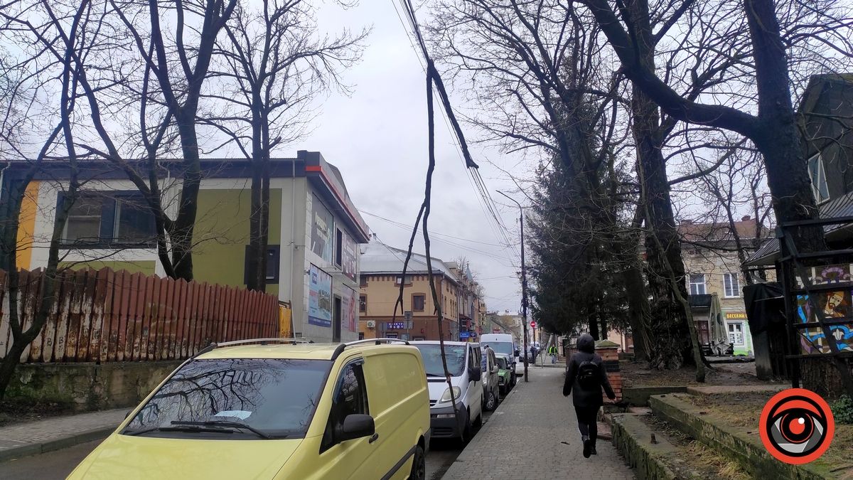 У центрі Коломиї гілка повисла на лініях зв'язку 2