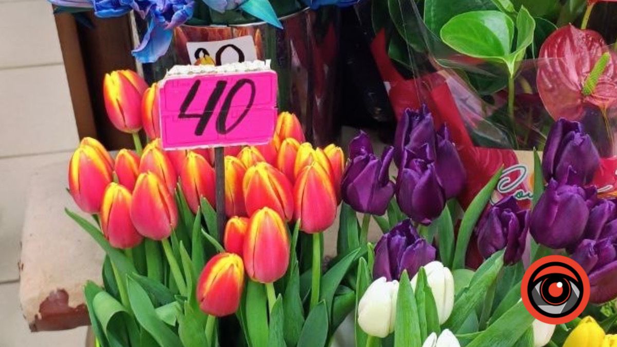 Скільки у Косові коштують троянди та тюльпани 14 лютого 1