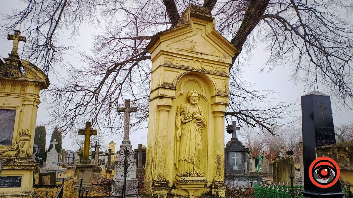 Кам'яні брили поросли плющем: як виглядає старий вірменський цвинтар у Кутах 6