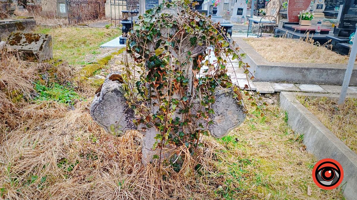 Деякі пам'ятники зникають і поростають плющем