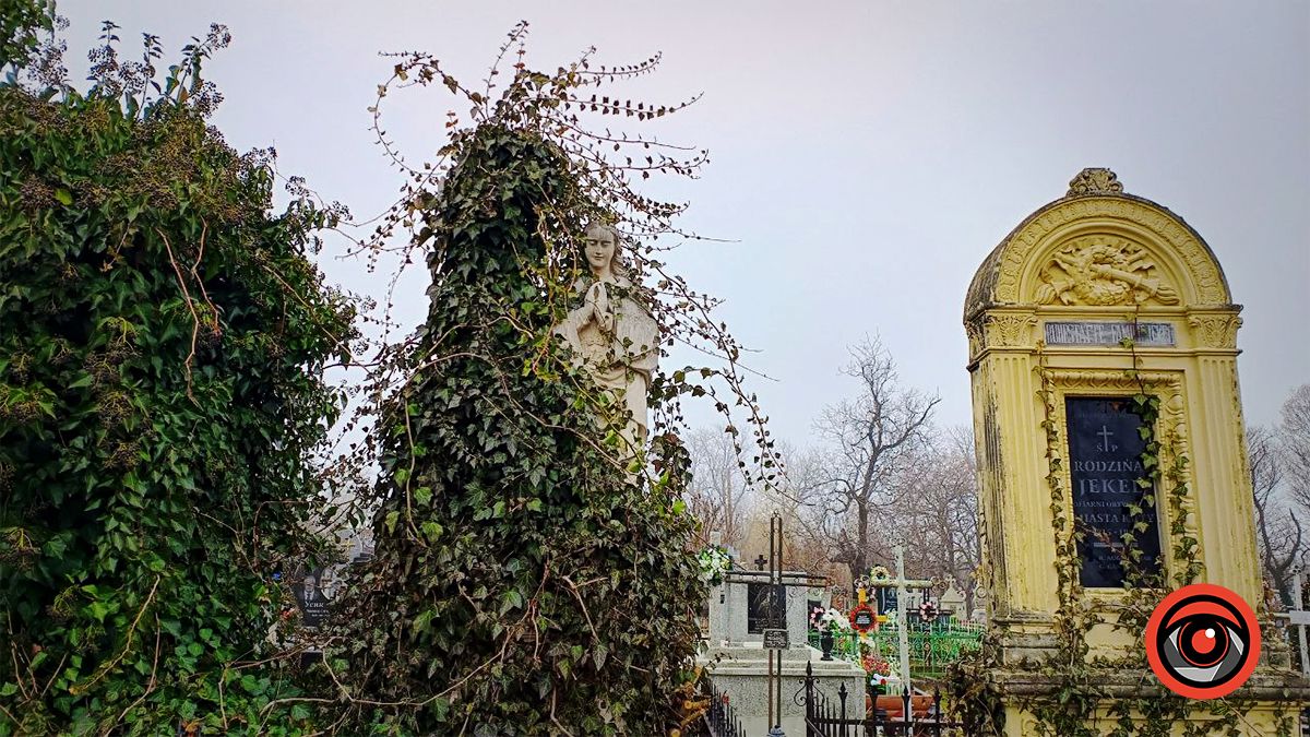 Пам'ятники поростають плющем