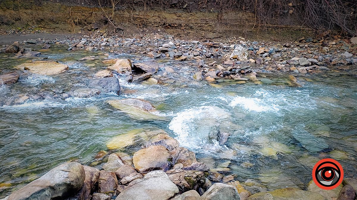 Річка у сонячний день