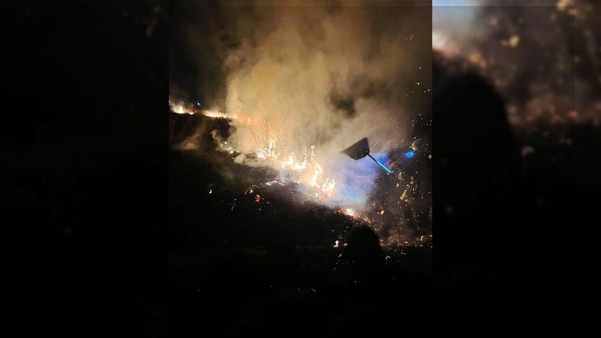 На вулиці Мазепи у Коломиї горіла суха трава