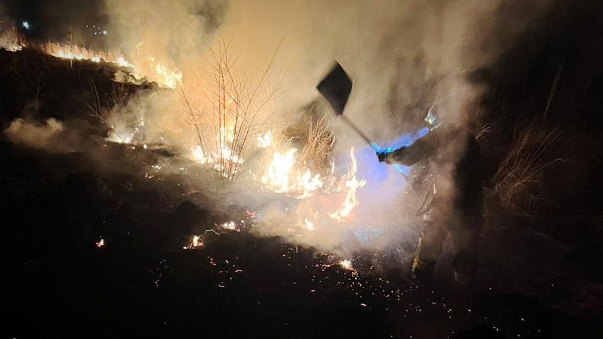 На вулиці Мазепи у Коломиї горіла суха трава 2