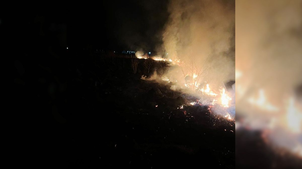 На вулиці Мазепи у Коломиї горіла суха трава 1