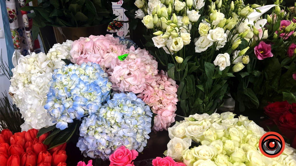 Яка вартість квітів у Коломиї напередодні Дня Всіх Закоханих? 4