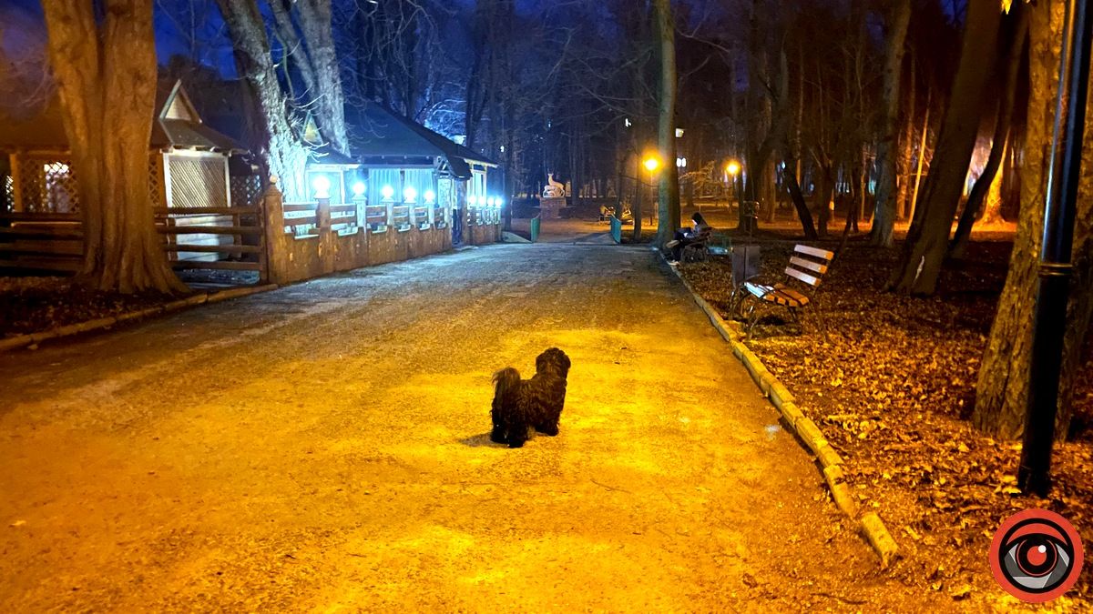 Нічний парк Коломиї у переддень весни | Фоторепортаж 4