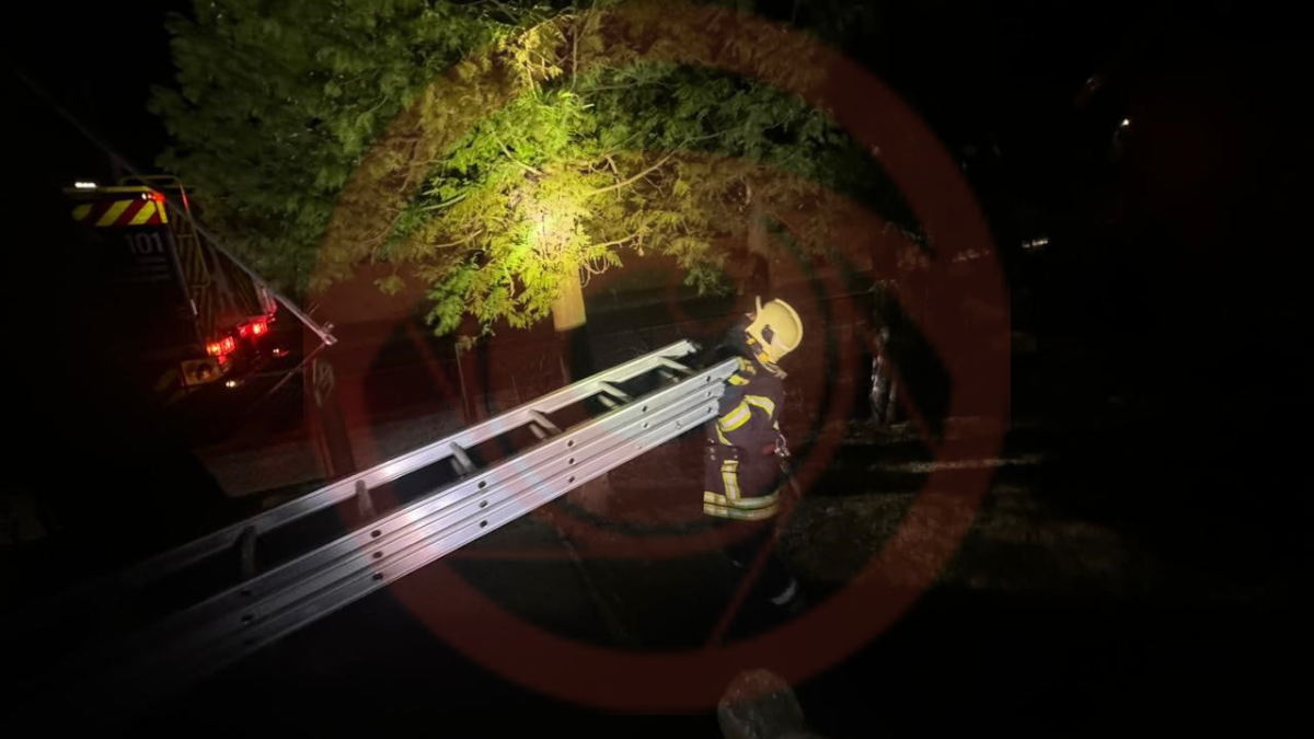 Ввечері 25 лютого рятувальники надавали допомогу жінці, яка застрягла на дереві