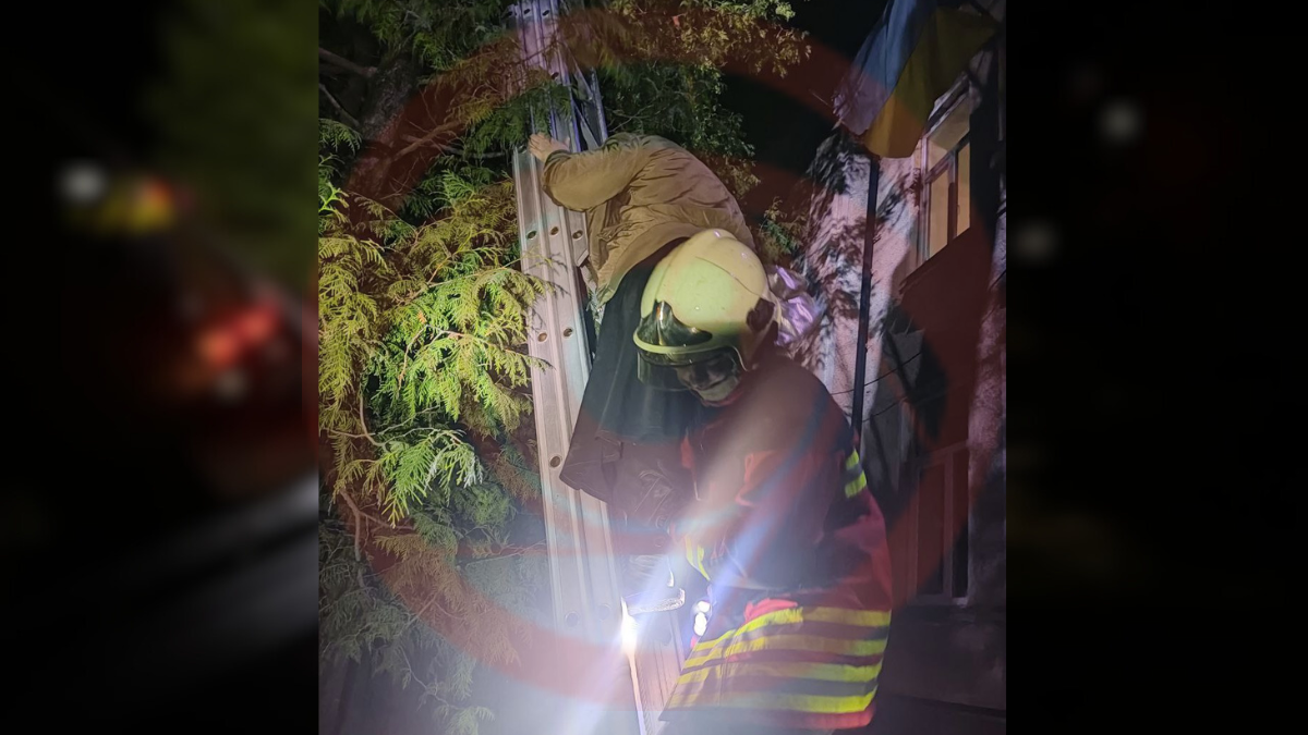 Ввечері 25 лютого рятувальники надавали допомогу жінці, яка застрягла на дереві 1