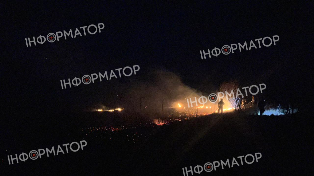 На Городенківщині вогнеборці гасили суху траву 1