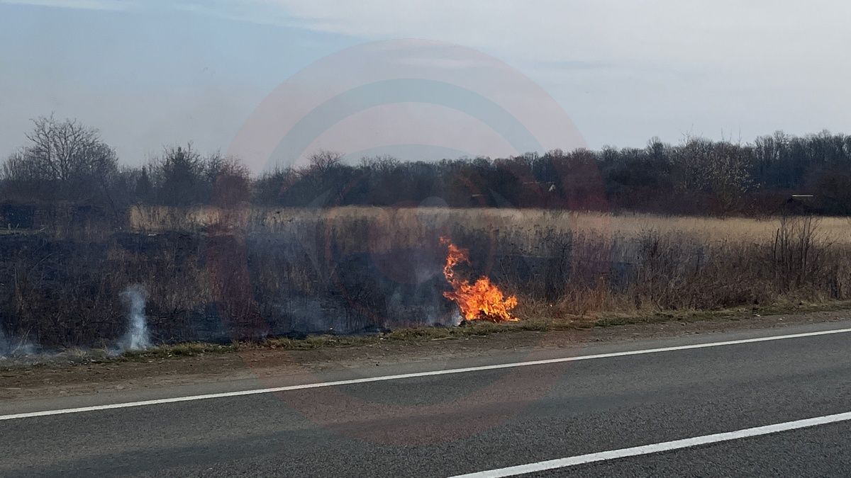 Під Коломиєю палає територія біля об'їзної 1