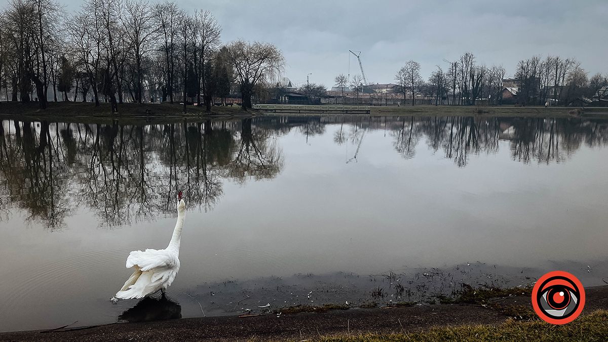 ппрогулянка озером