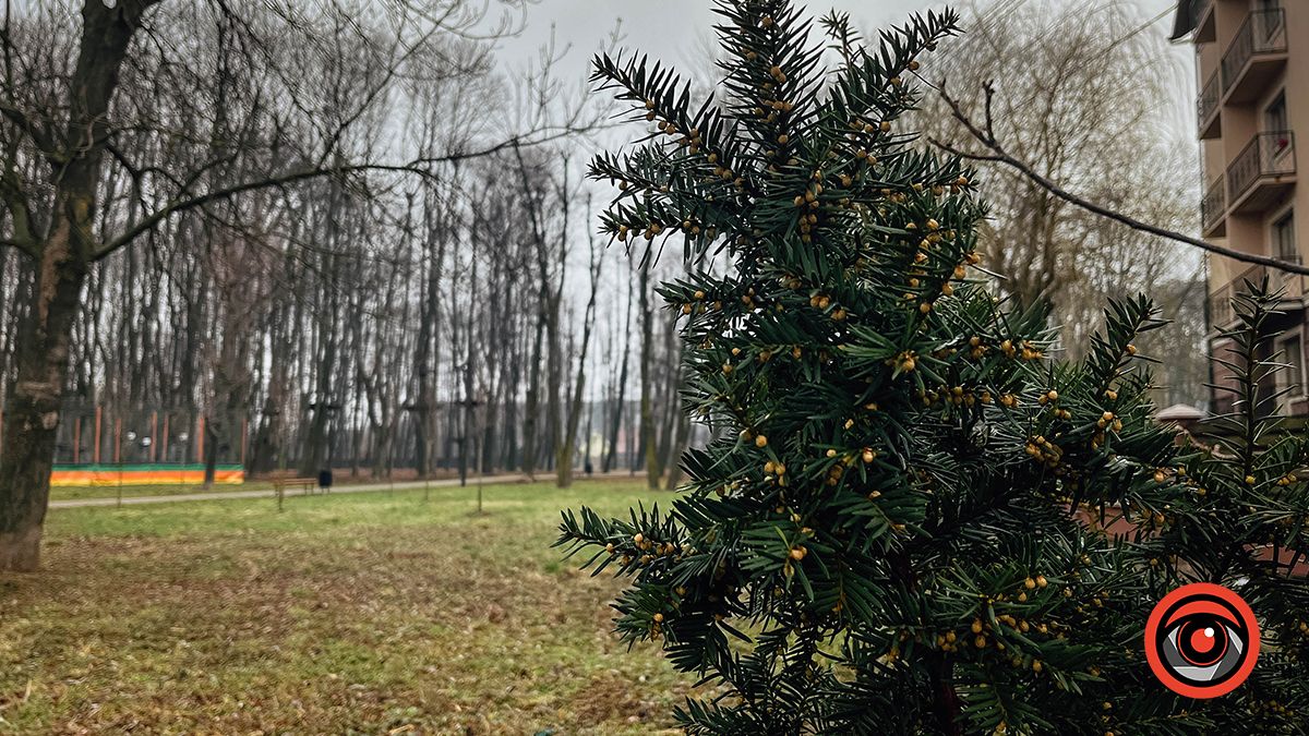 парк біля озера